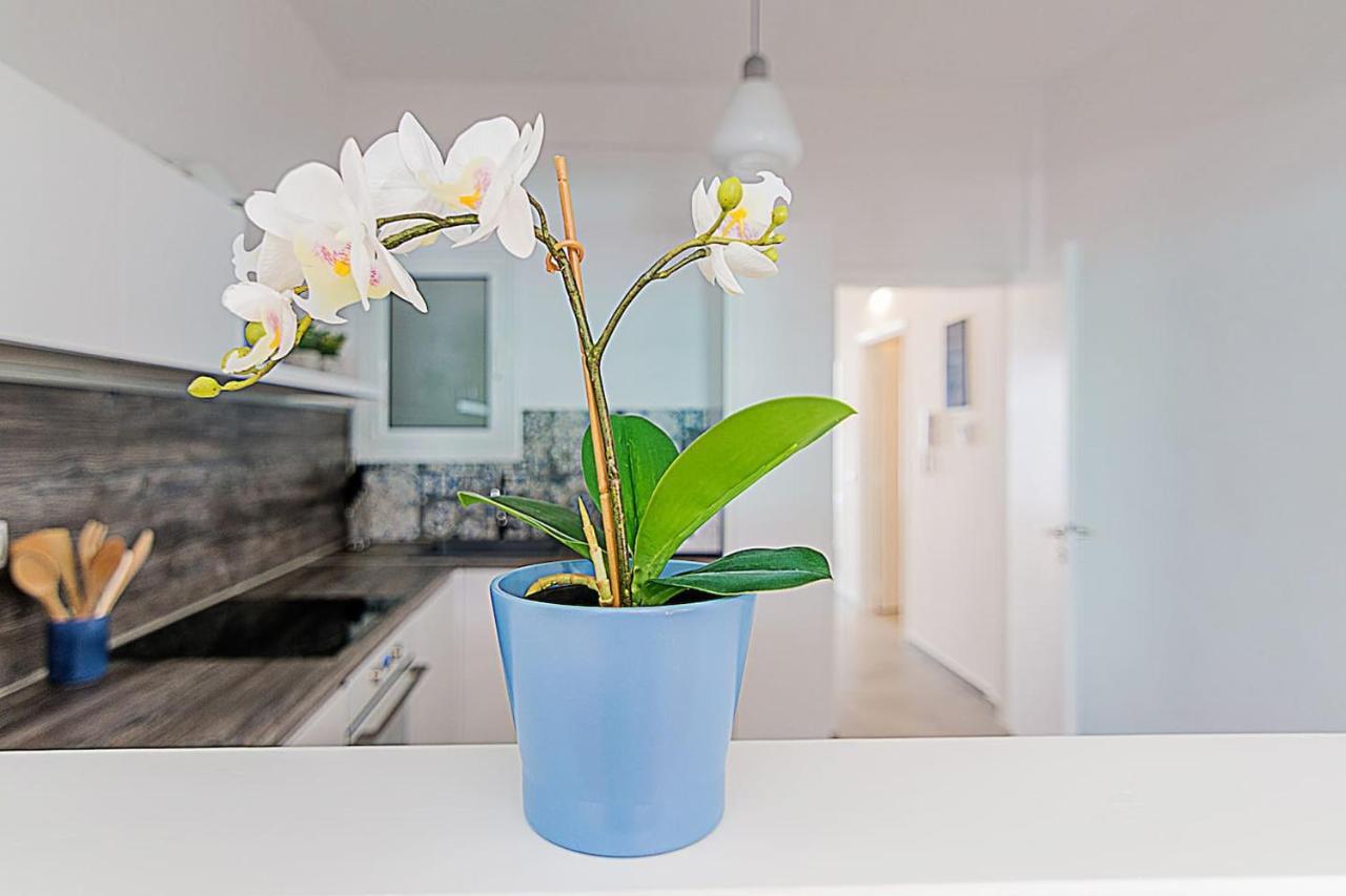 אתונה Spacious Two Bedroom Apartment In Central Location מראה חיצוני תמונה